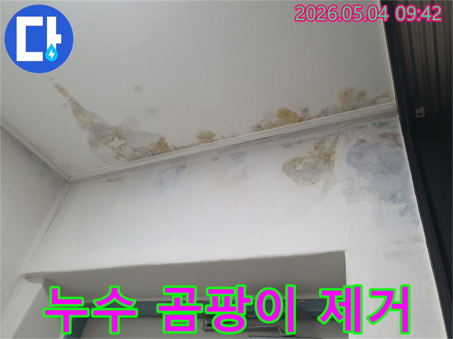 아파트-천장과-벽에-누수로-인한-곰팡이가-생겨-누수-원인-제거와-곰팡이-제거가-필요한-현장