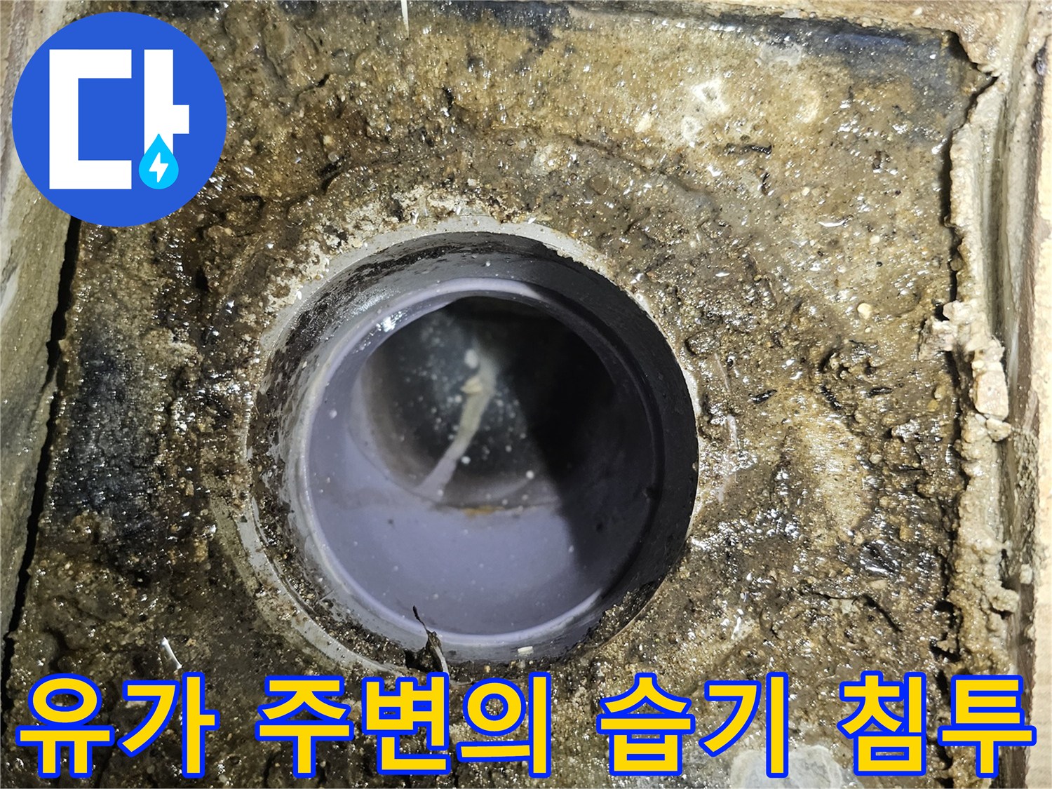 배수관 유가 주변의 젖은 마감재와 오염된 상태를 보여주는 사진