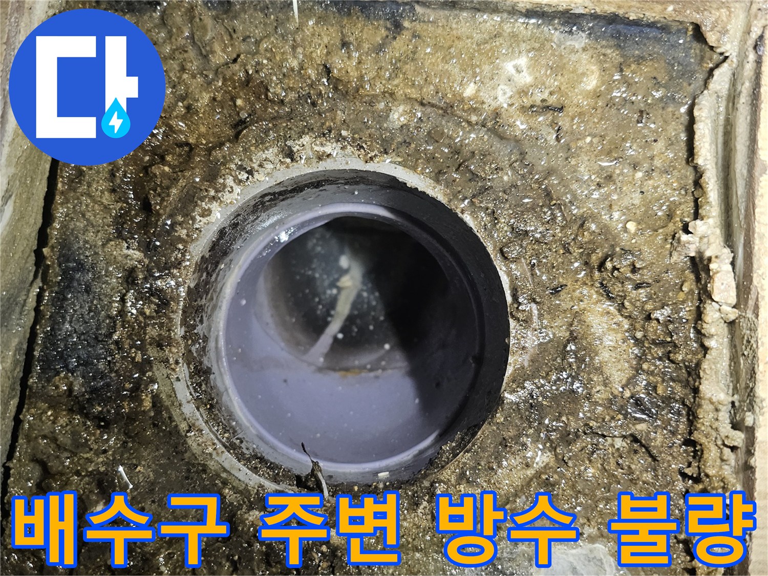 하수구 유가 주변의 젖은 타일과 오염된 마감재 사진
