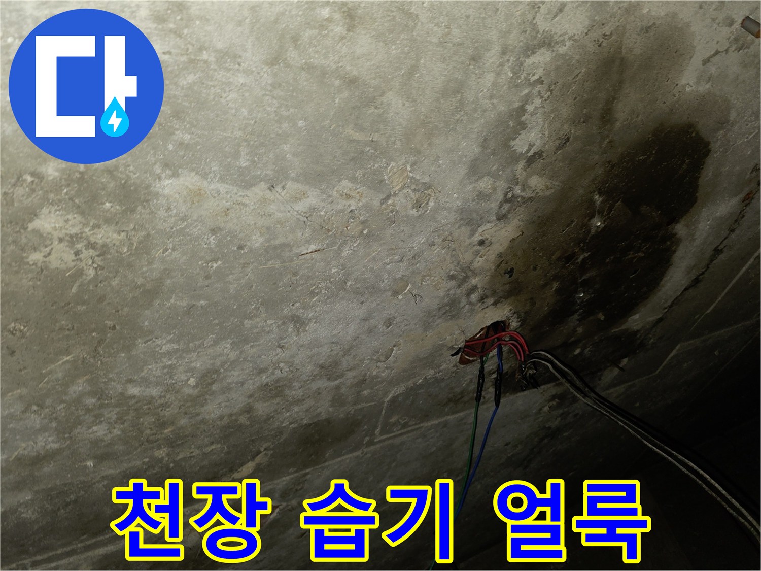 습기로 인해 어둡게 변한 천장 석고보드 표면