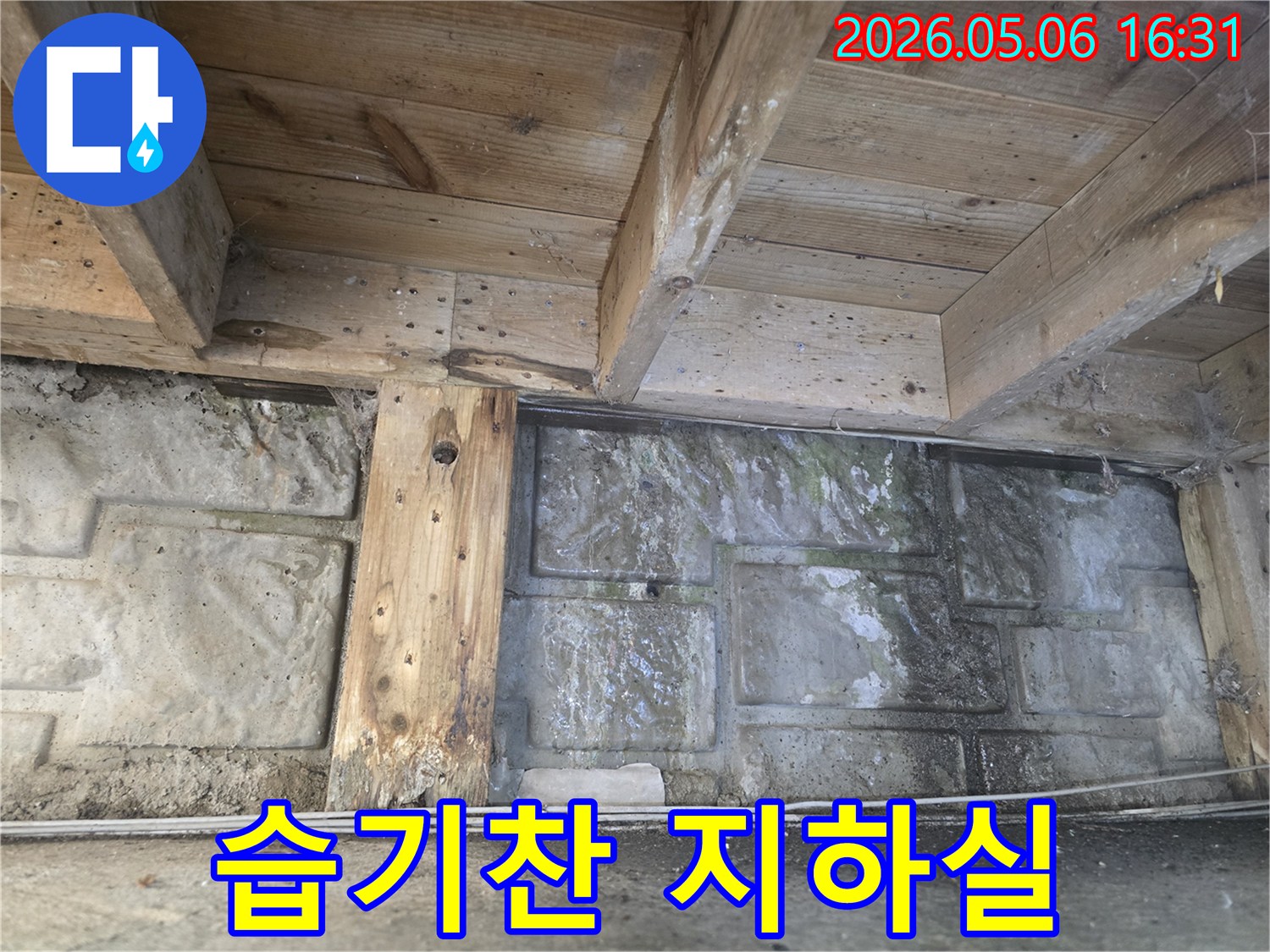 오래된 건물 지하 공간에서 발견된-누수로 인한 목재 부식과-벽면의 심각한 곰팡이 오염 현장