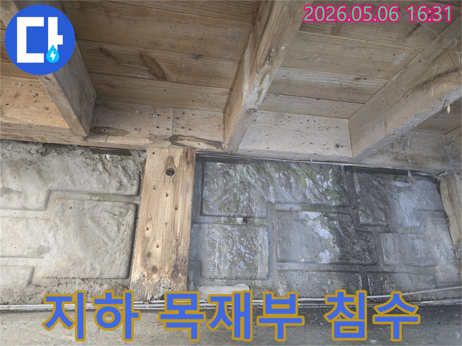 지하 공간의 목재 기둥과-벽면에-심각한 물자국과-곰팡이가 발견된-누수 현장