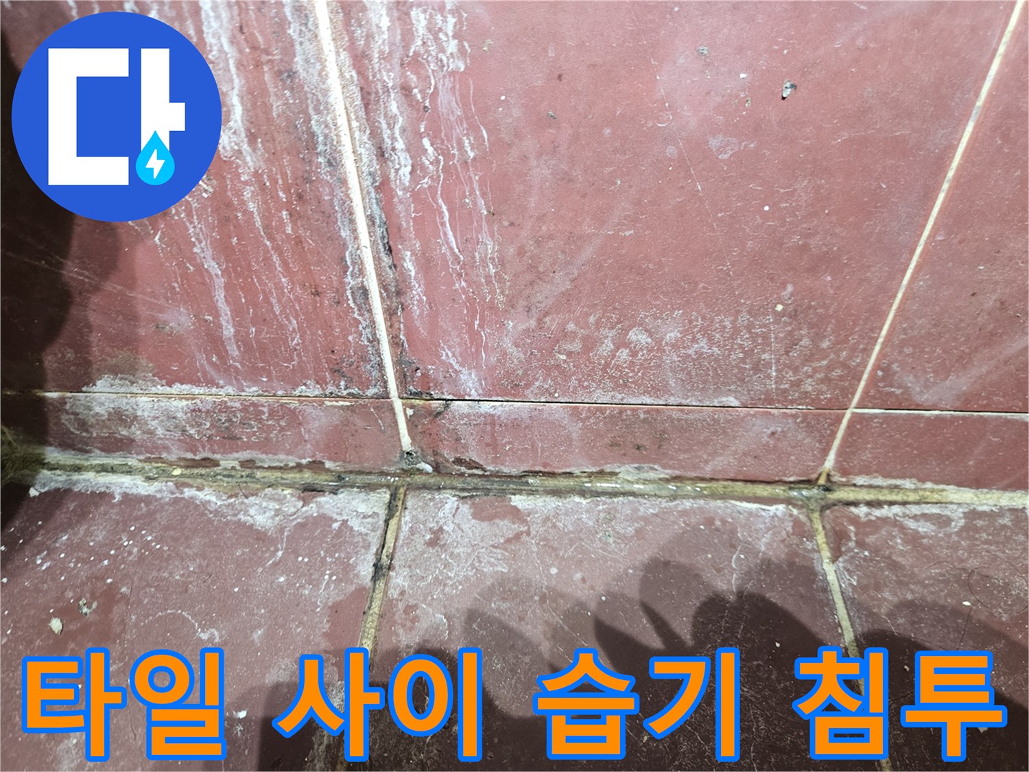 붉은색 타일 면-줄눈 부위의 하얀 얼룩과 습기