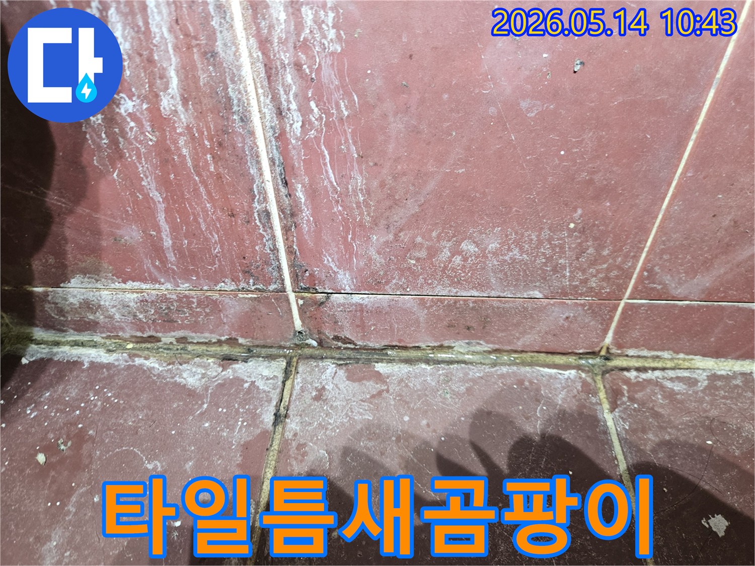 타일 줄눈과 벽면에-검은 곰팡이와-하얀 석회 자국이 뒤섞여 있습니다