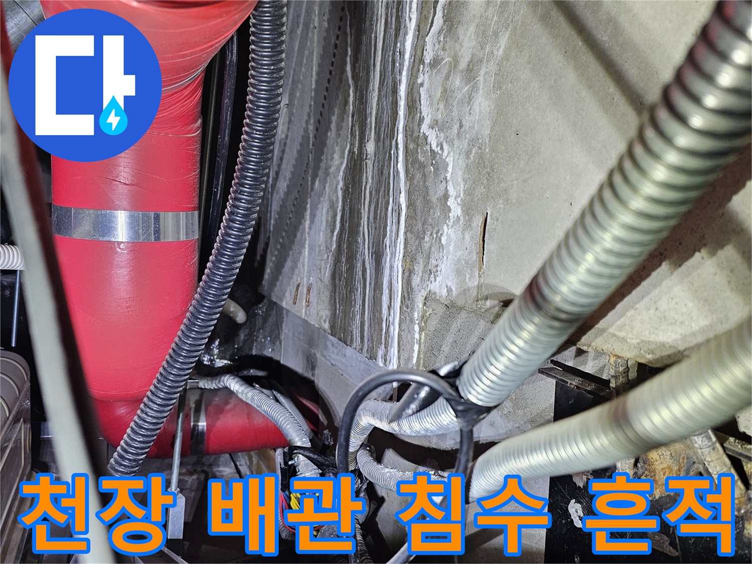 배관 주위의 젖은 마감재와 습기 분포 현황
