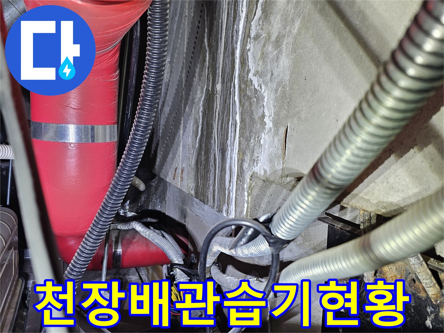 송파구 건물 천장 내부의 젖은 배관 및 전선 상태