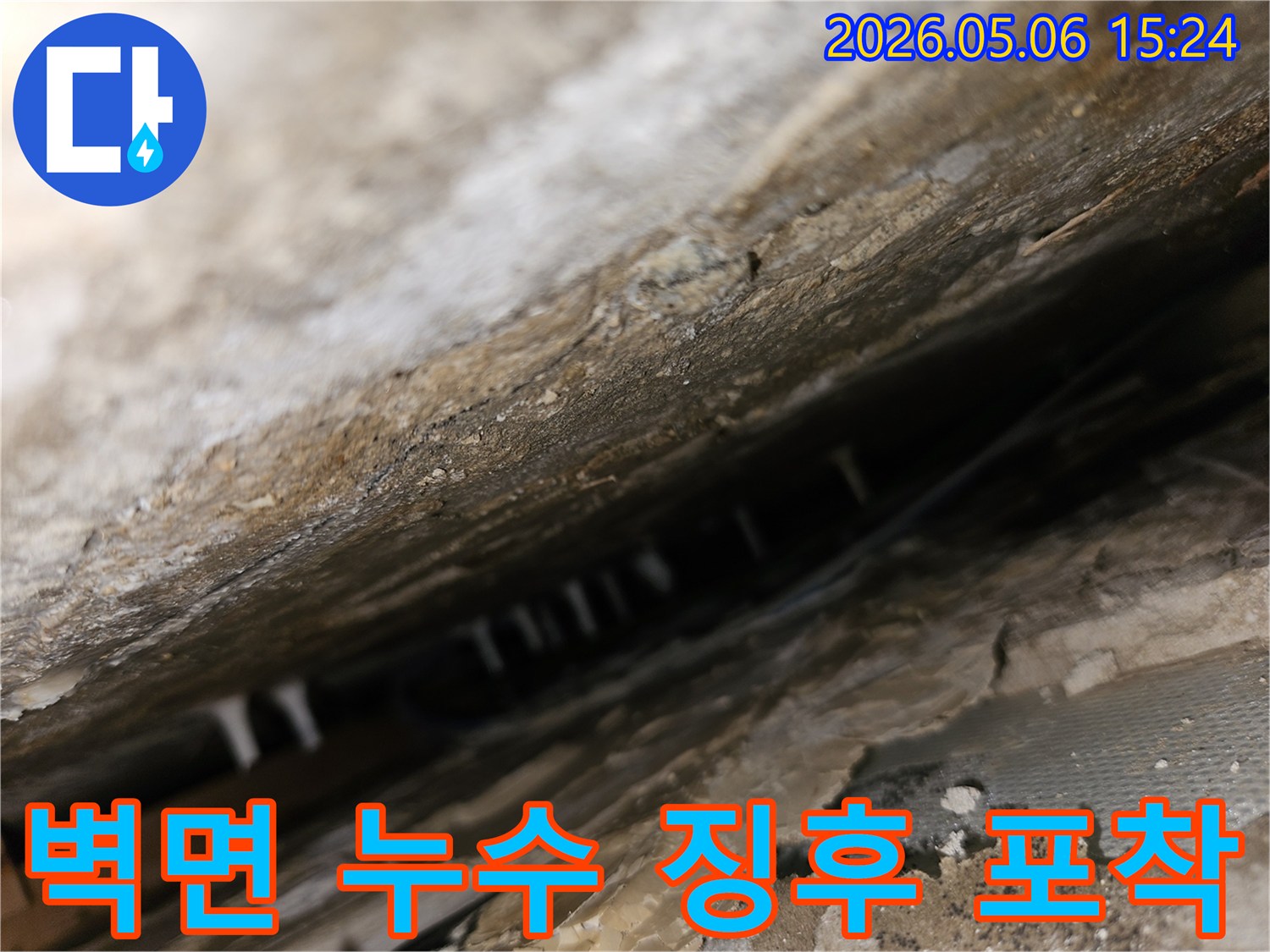 누수-탐지-전문가가-벽면-틈새에서-발견된-누수-징후를-면밀히-관찰하고-있습니다