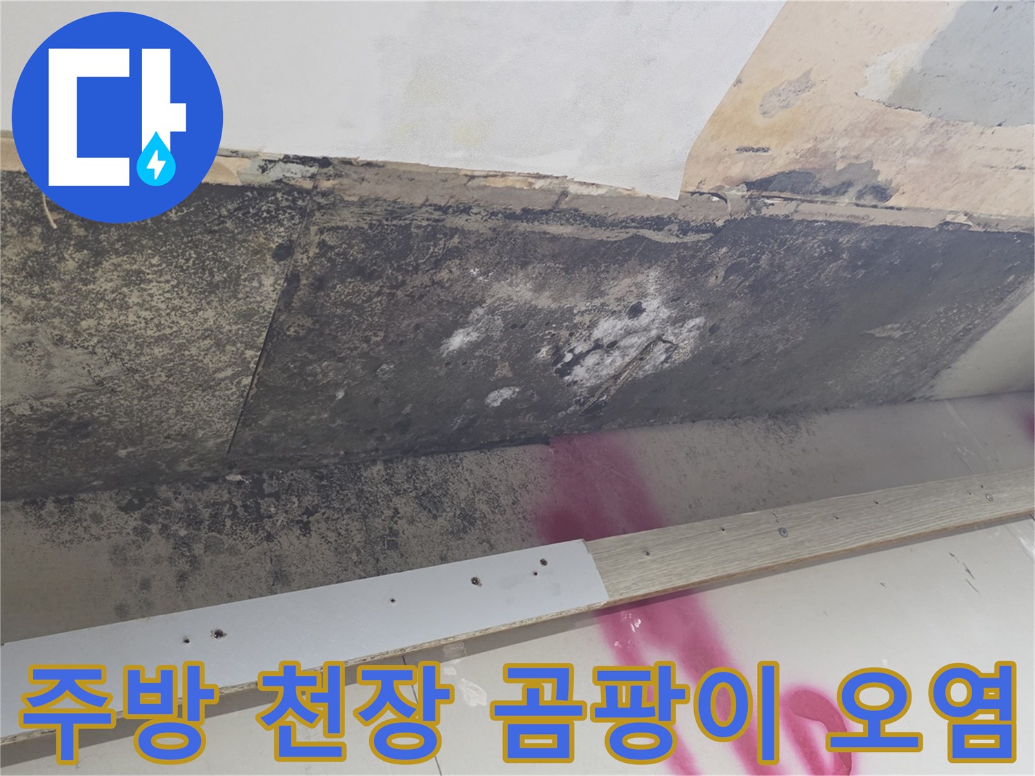 도봉구 주방 천장-심각한 곰팡이와 물 얼룩 상태