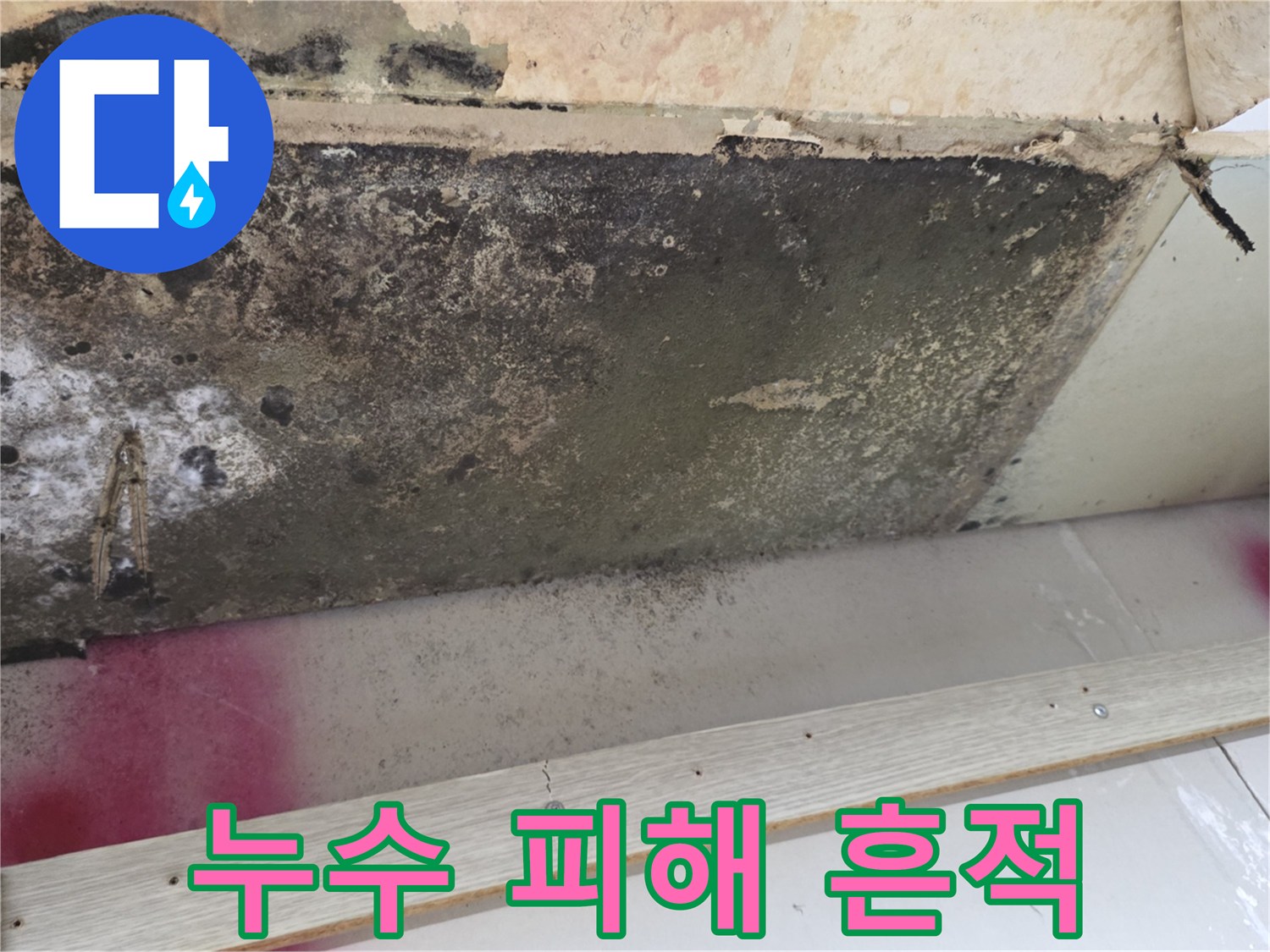 주방 천장-물샘으로 인한 곰팡이와 얼룩 부위