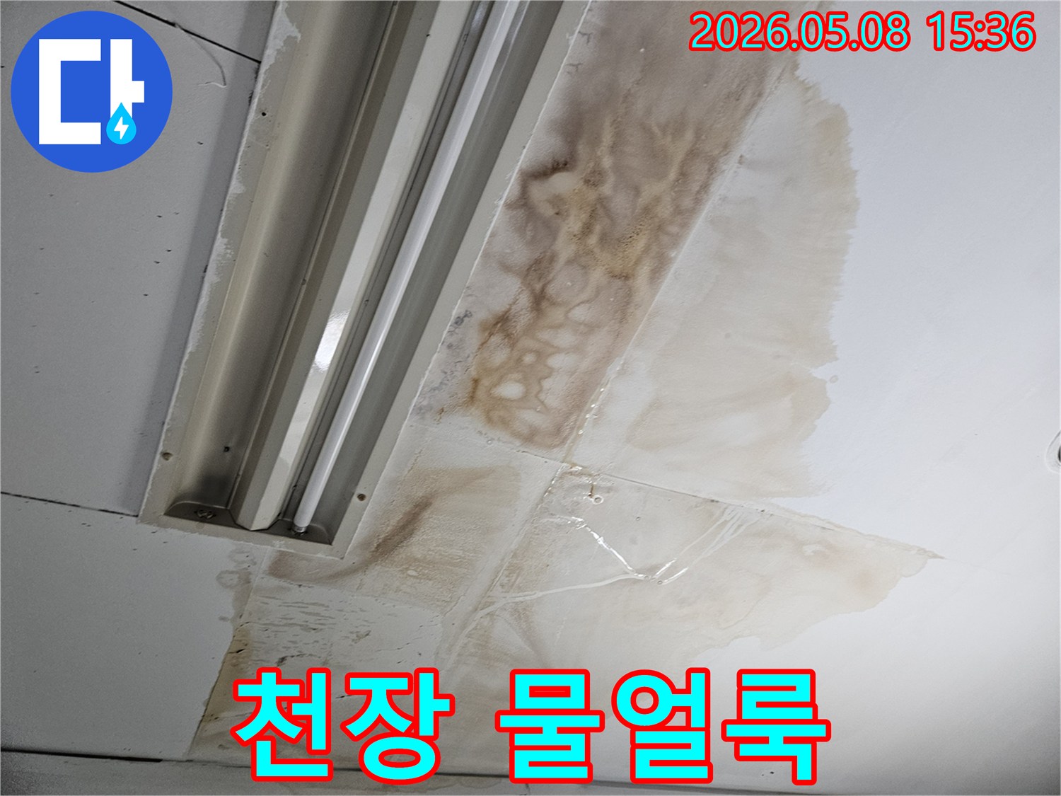 천장-타일에-생긴-심각한-물얼룩과-누수-피해-현장