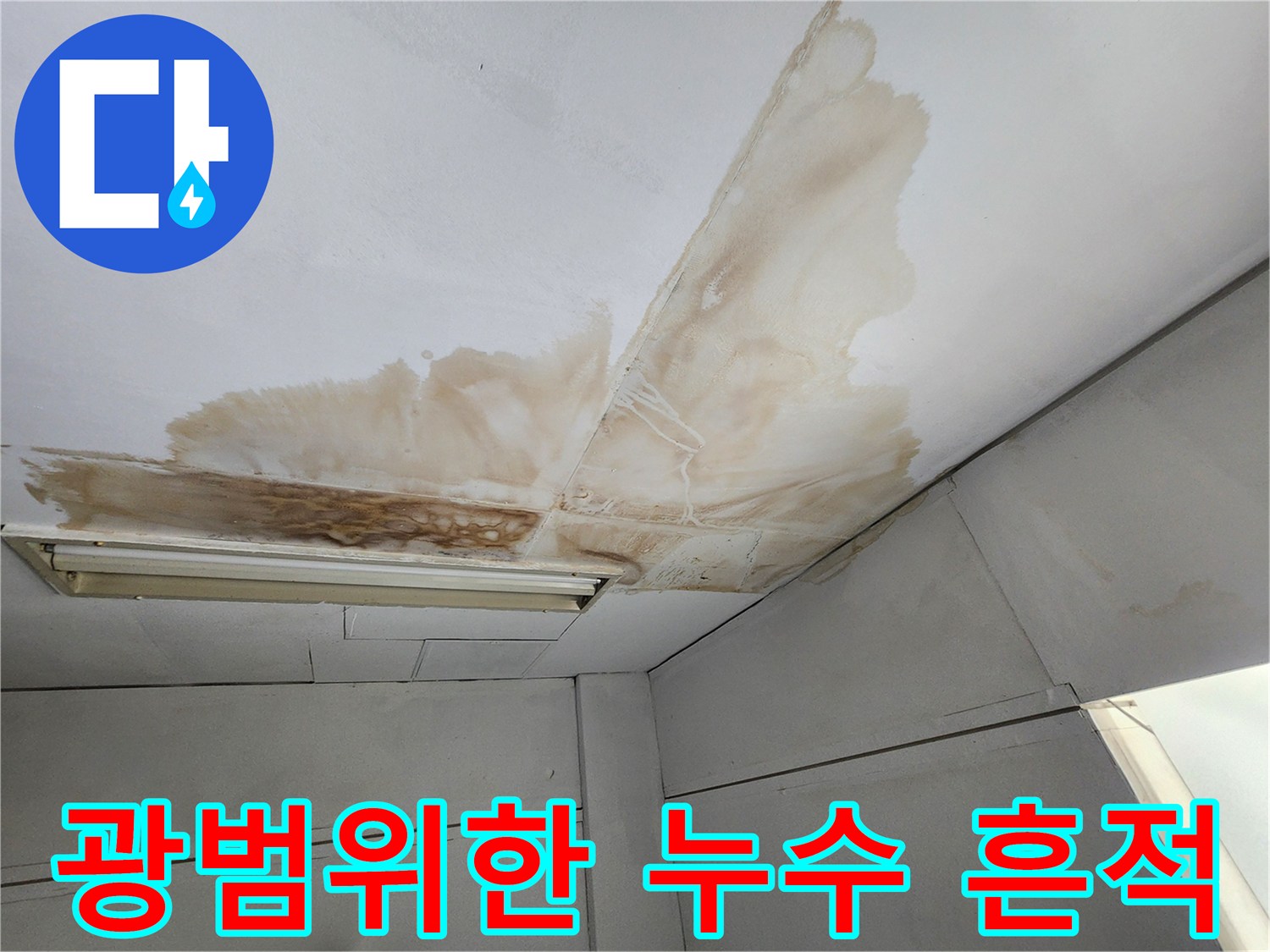 천장 표면에 물이 새어 발생한 넓고 진한 갈색 얼룩과 곰팡이가 확산된 모습