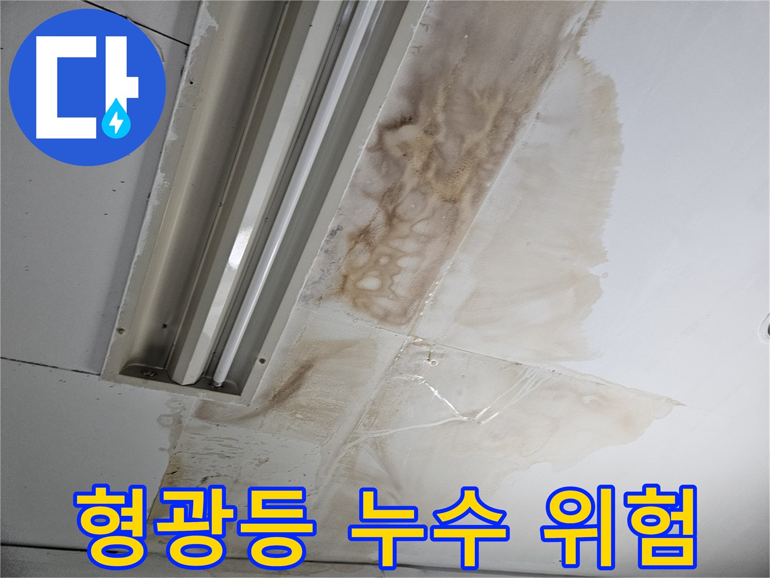 형광등-주변으로-물이-새어-나와-전기-안전이-우려되는-천장-누수-현장입니다
