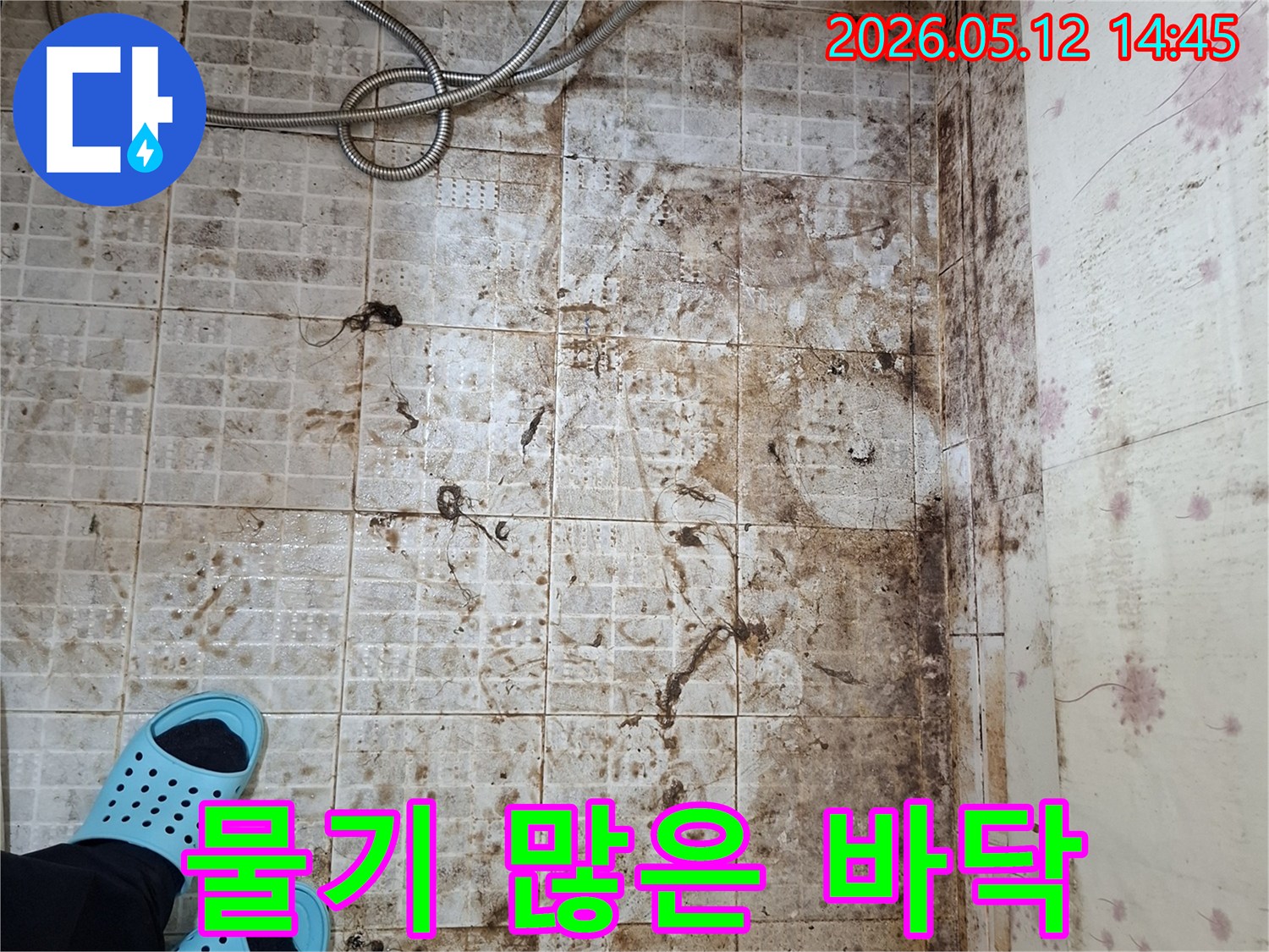 물이-지속적으로-고여-있어-물기가-많은-욕실-바닥의-오염-현장입니다
