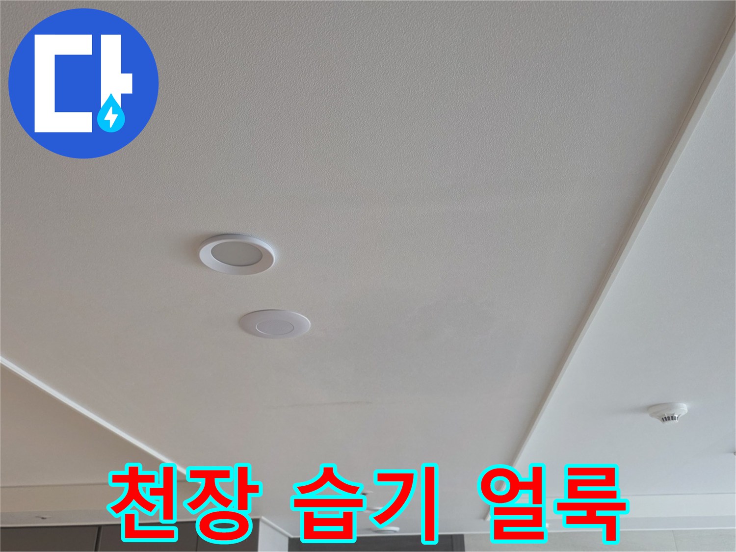 천장 조명 주변에 나타난 미세한 물샘 흔적