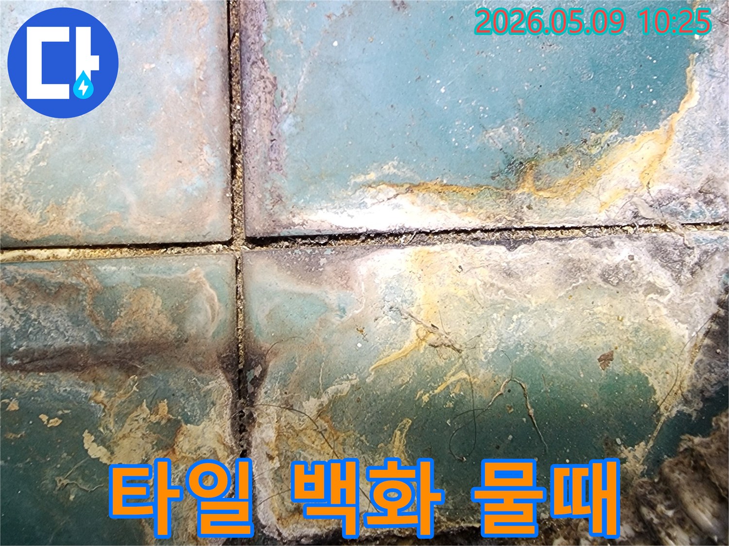 타일 표면에 나타난 심각한 백화 현상과 물때-누수로 인한 미관 손상과 위생 문제 현장