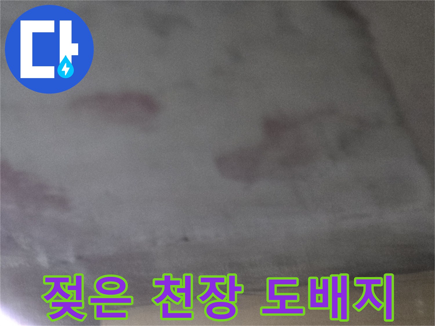 천장-벽지에-남은-습기-및-물샘-흔적-상세