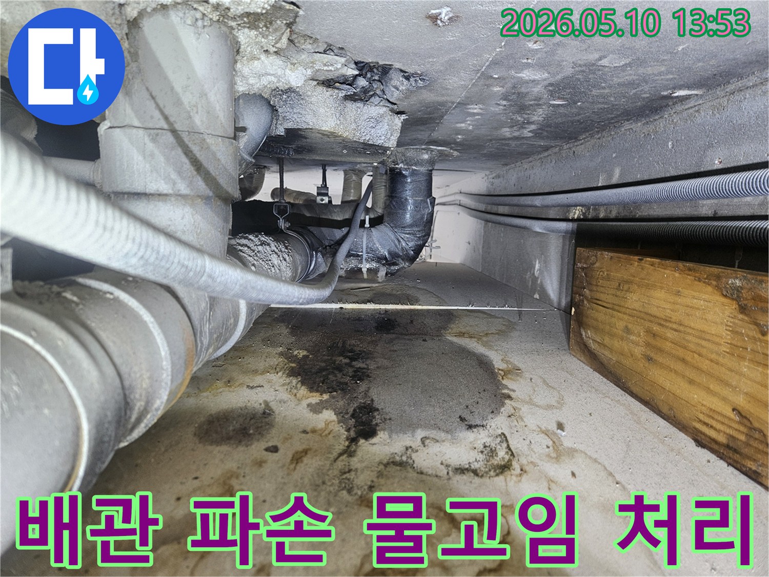 일산-지역-배관-파손으로-인한-바닥-물고임-현장-전문-처리