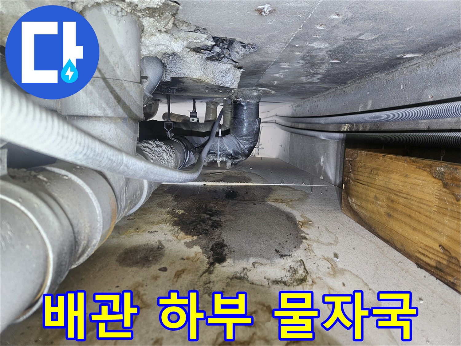 천장 배관 주변의 습기 흔적-누수 지점 추적 중