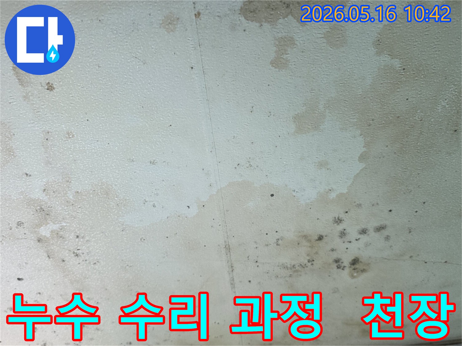 누수로-인해-천장에-생긴-물-얼룩과-곰팡이-피해-현장-사진