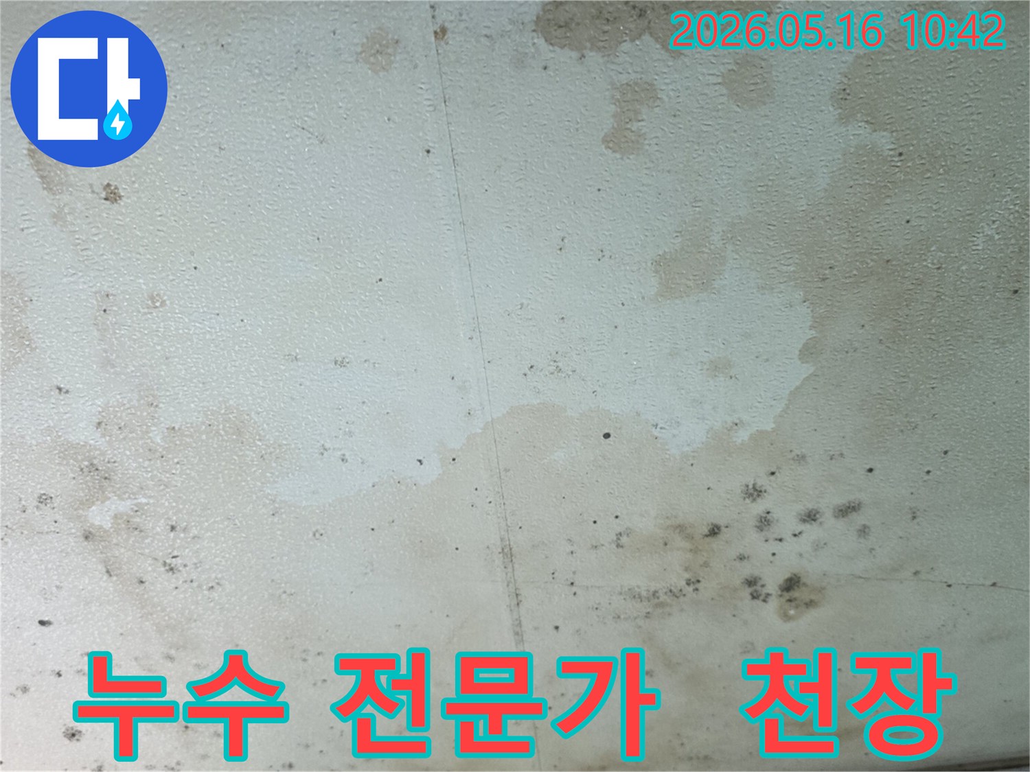 누수로-인해-천장에-생긴-물-얼룩과-곰팡이-피해-현장-사진