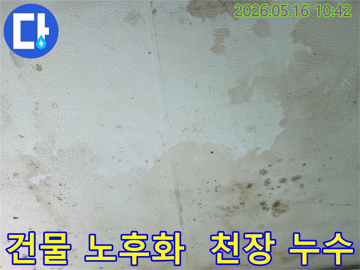 누수로-인해-천장에-생긴-물-얼룩과-곰팡이-피해-현장-사진