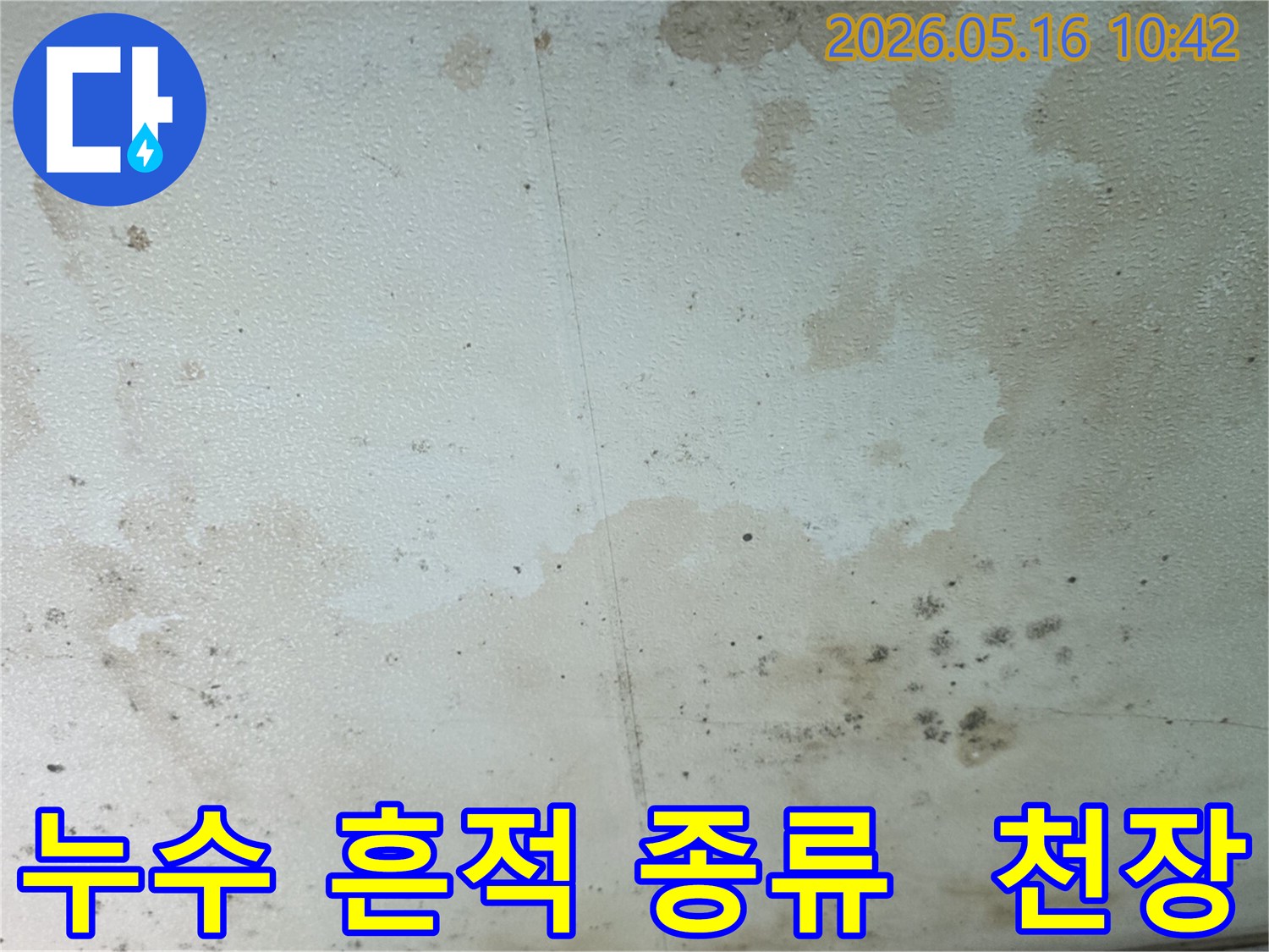 누수로-인해-천장에-생긴-물-얼룩과-곰팡이-피해-현장-사진