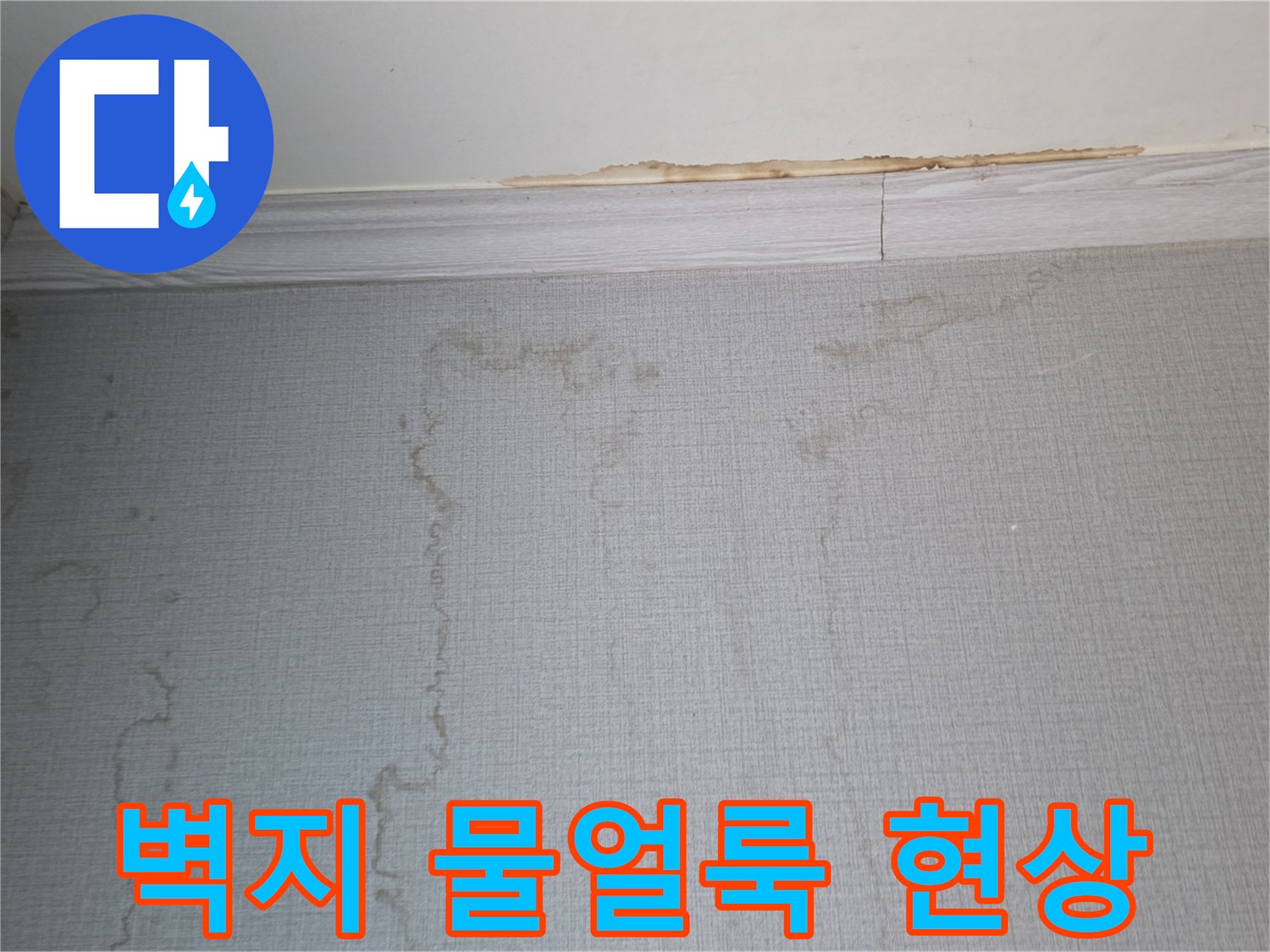 빌라 벽면 상단-벽지 물얼룩과 천장 변색 상태