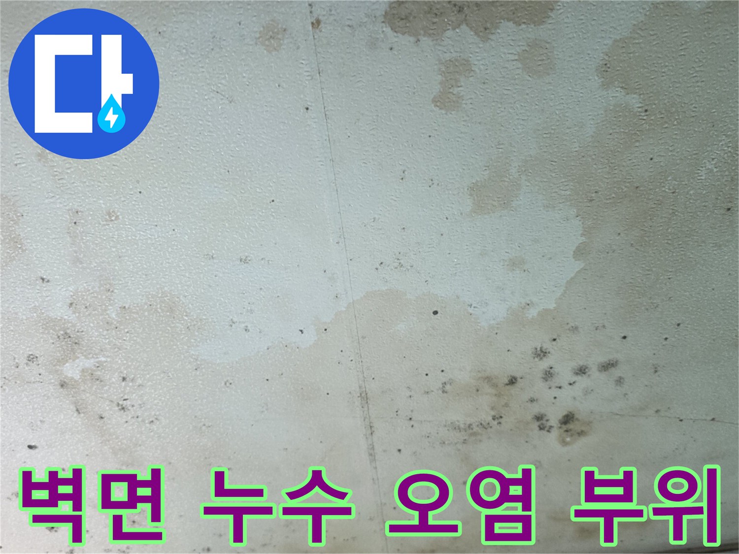 습기로 인해 변색된 빌라 내부 벽면의 곰팡이와 얼룩