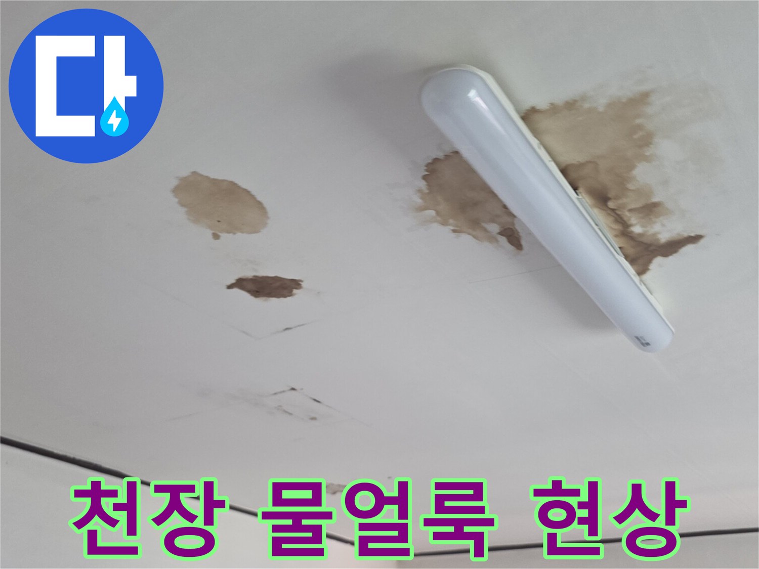 인천 유동 빌라 거실 천장의 넓은 물 얼룩과 곰팡이 흔적