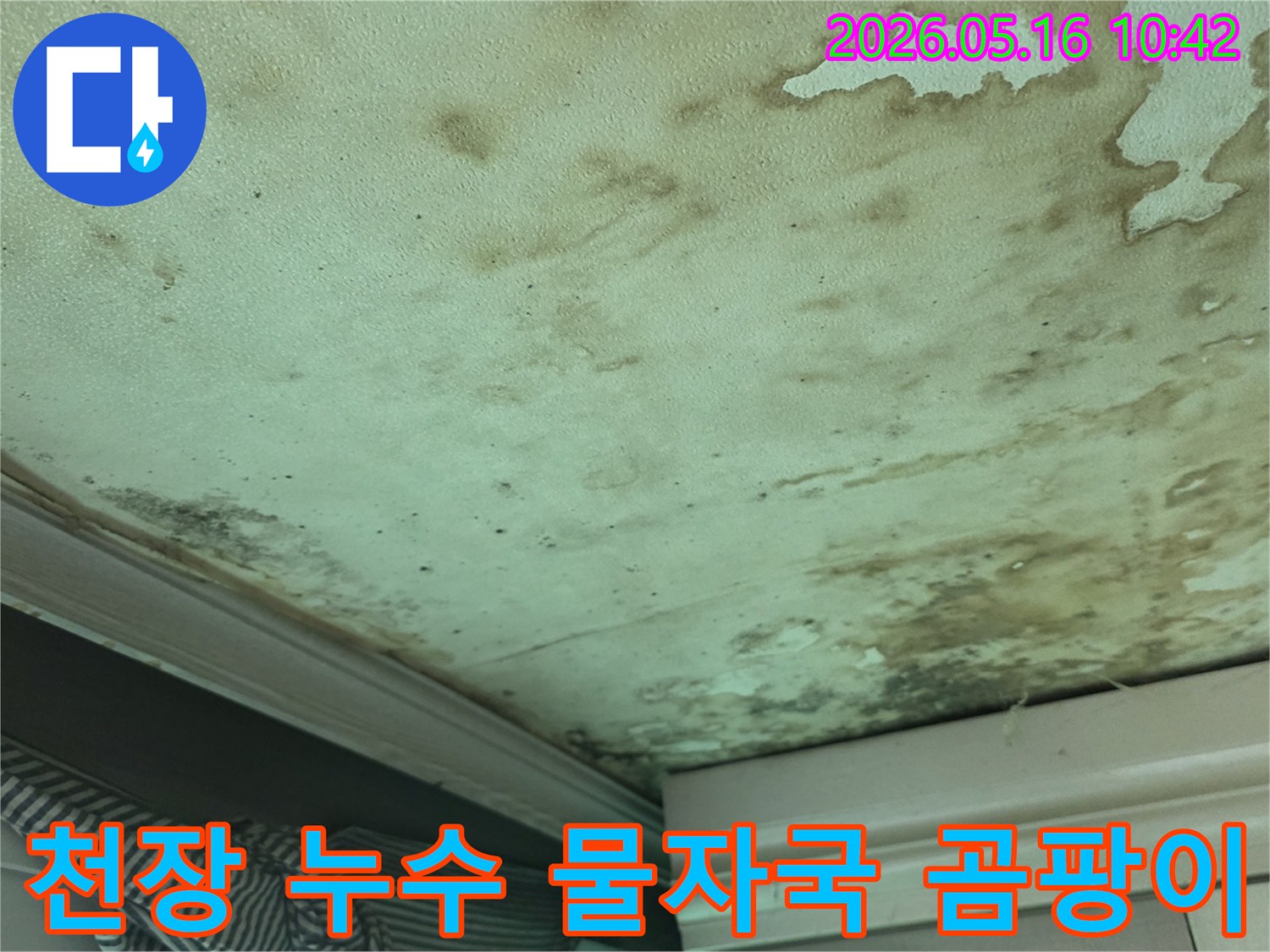 천장-누수로-인한-심각한-물자국과-곰팡이가-발생한-모습입니다