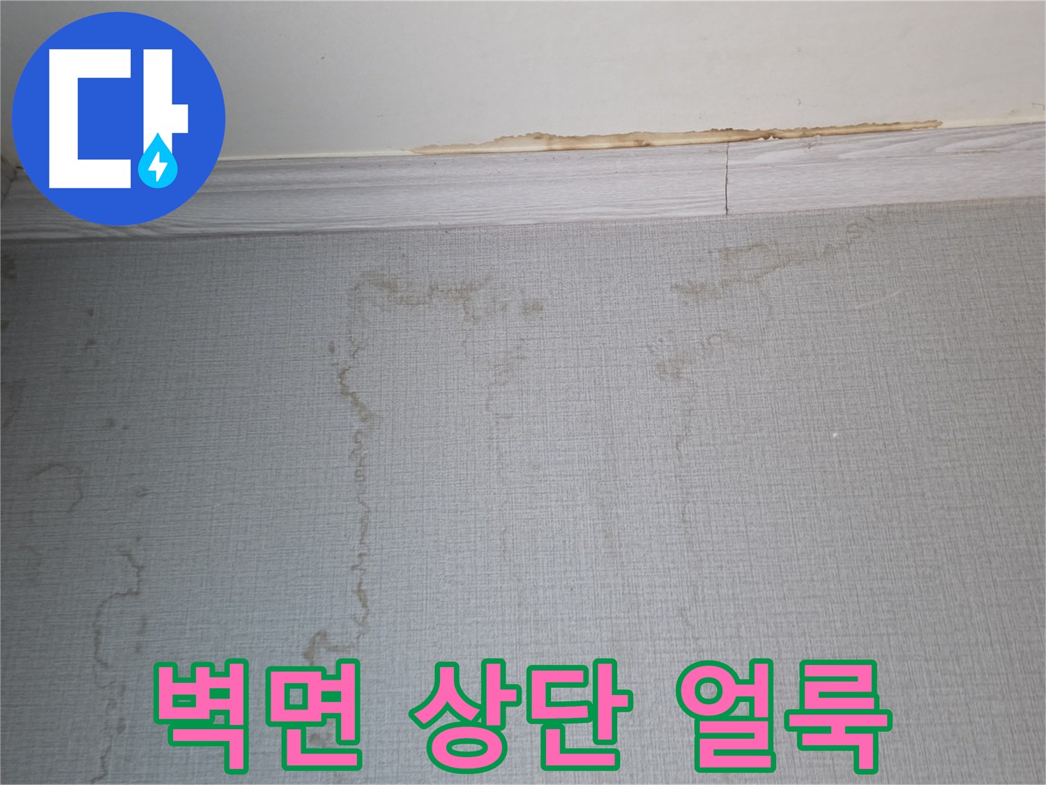 천장 몰딩 하단에 발생한 어두운 색상의 물얼룩 현상