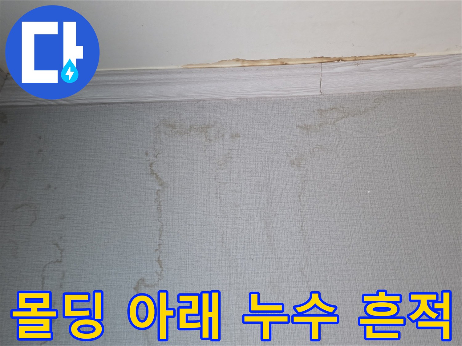 천장 몰딩과 벽면 경계에 발생한 물 번짐 현상