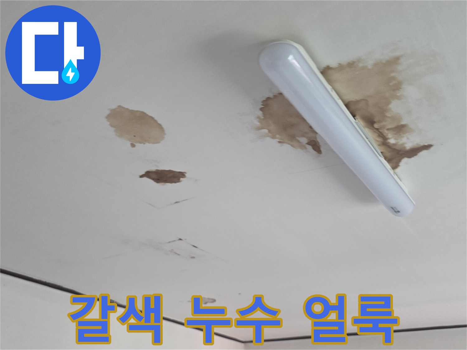 천장 전등 주변의 넓은 물 얼룩 부위