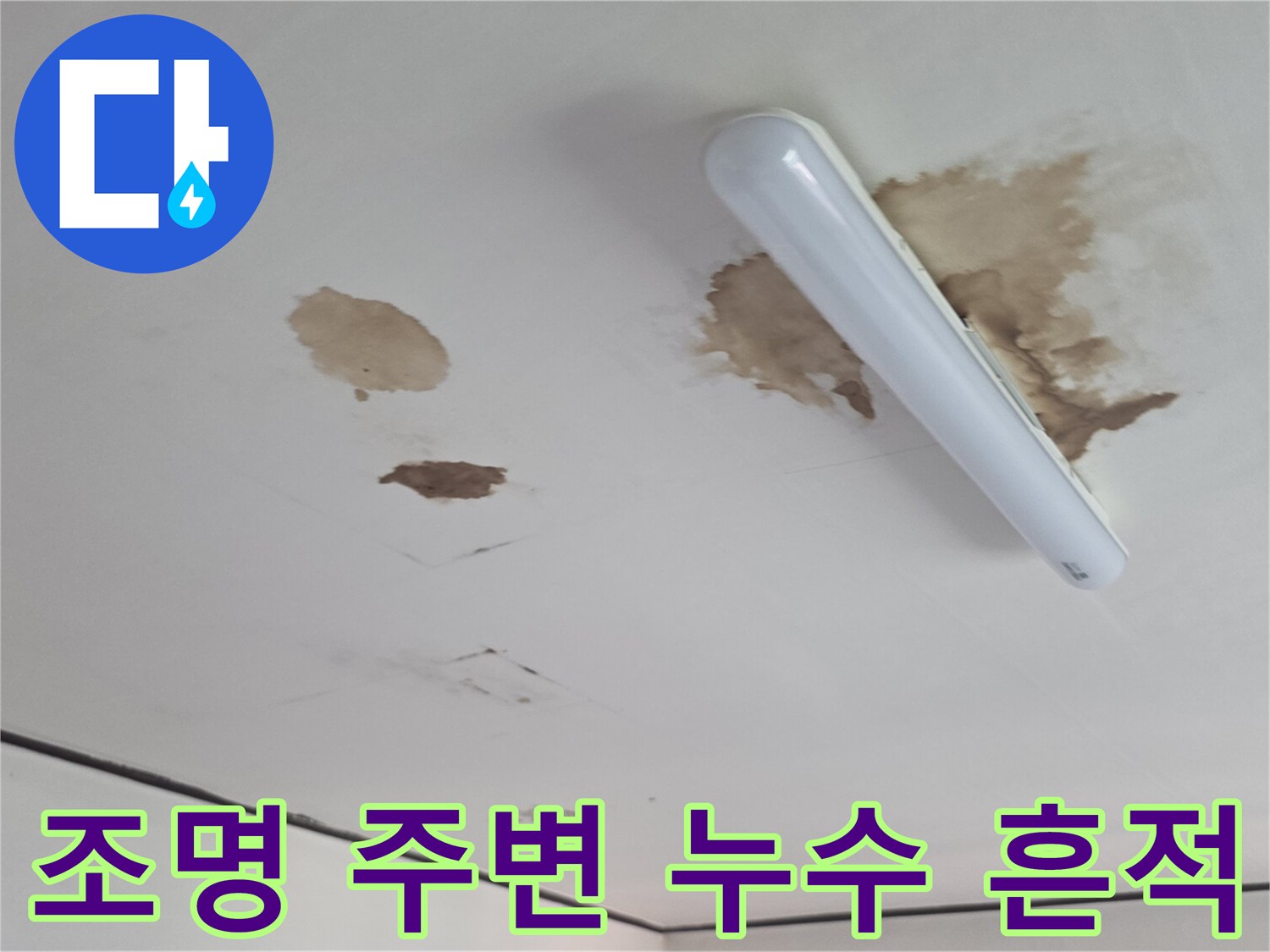 천장 조명기구 옆으로 번진 누수 피해 부위