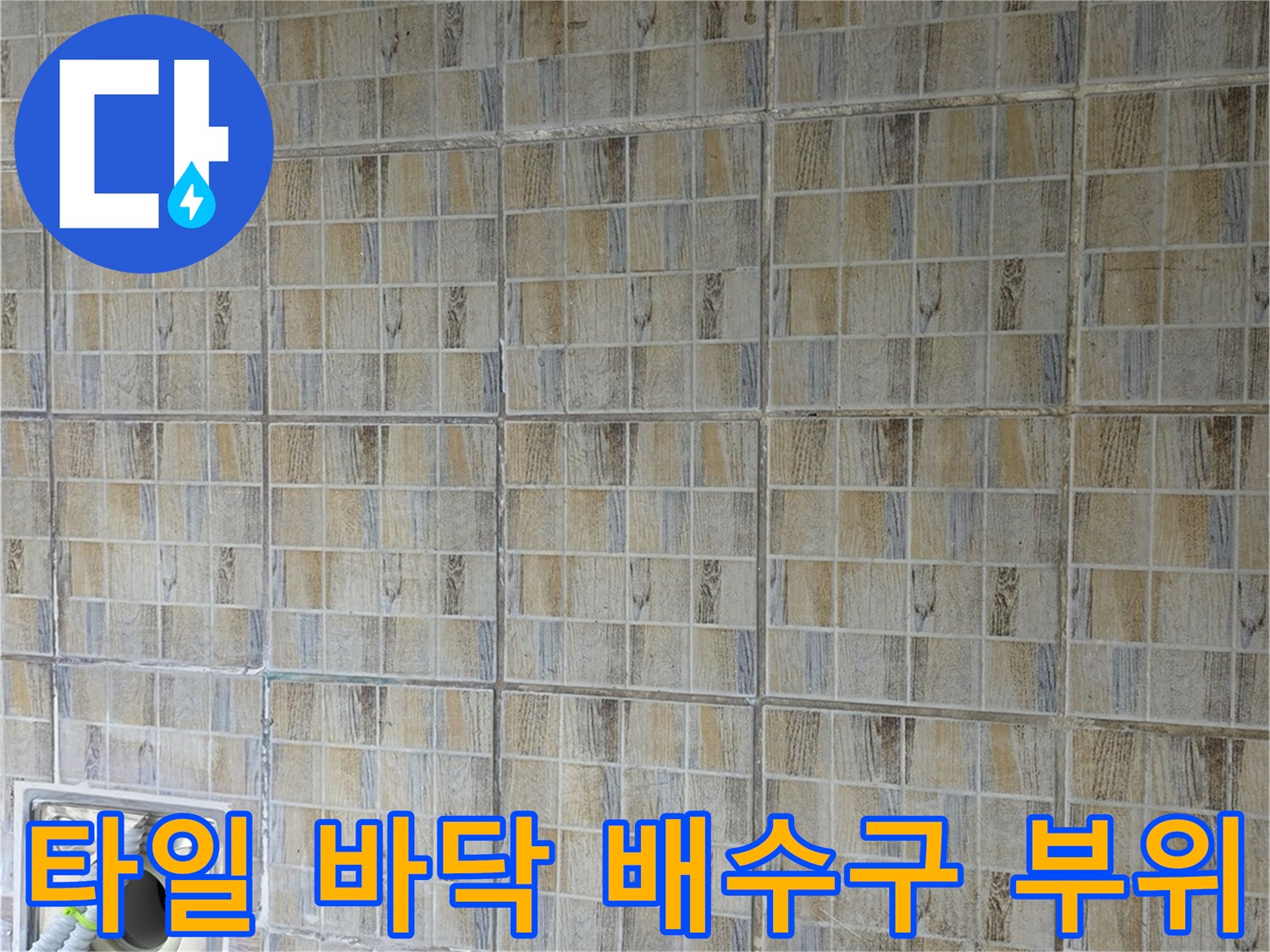 배수구 주변 타일의 줄눈 상태와 균열 여부를 촬영한 사진입니다.