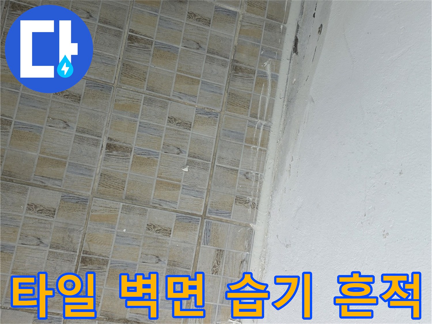 습기로 인해 변색된 타일 상단과 천장 경계 부위