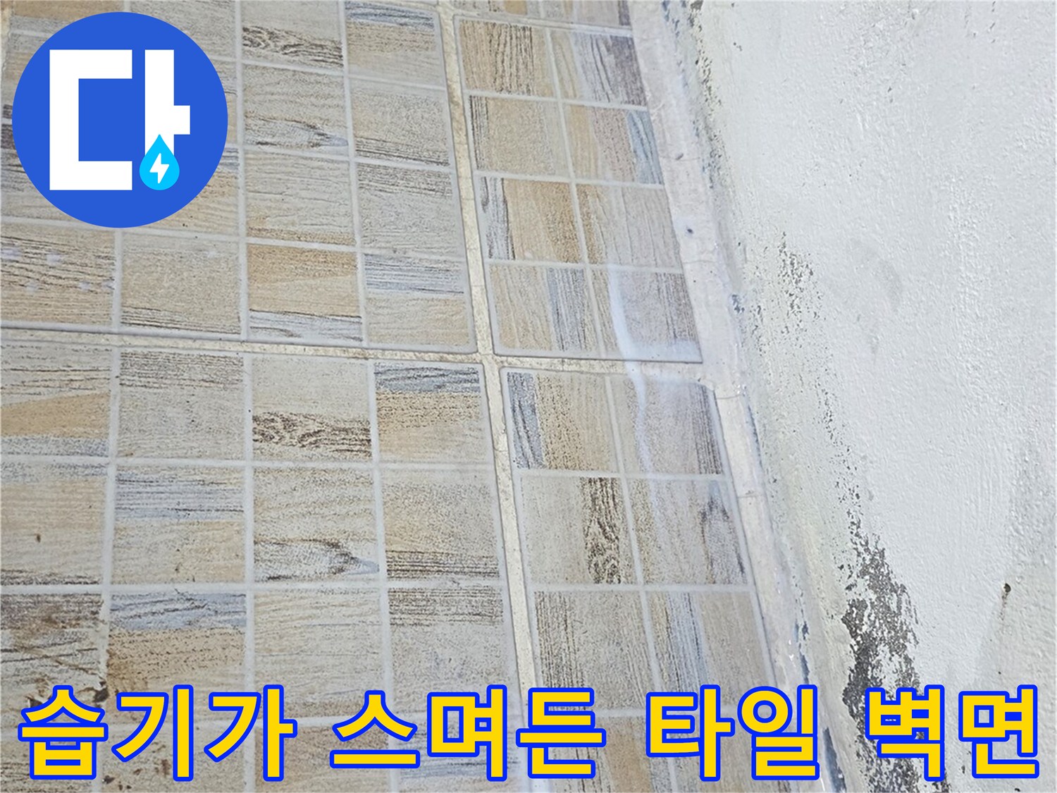 타일 줄눈 사이로 습기가 침투한 베란다 벽면 모습