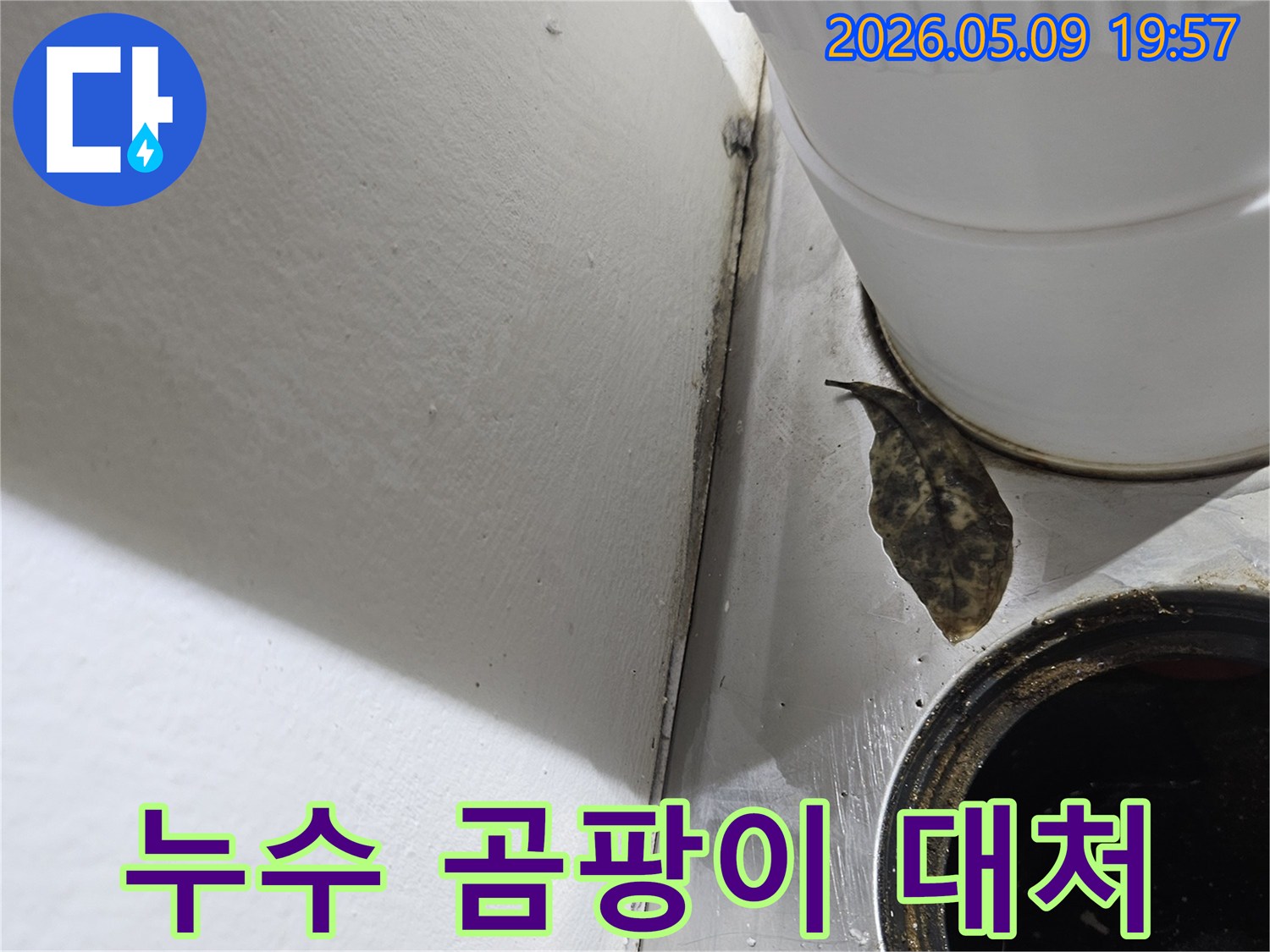 배수관 주변의-곰팡이와 오염은-배관 누수 발생 시-신속한 대처가-필요함을 보여줍니다.