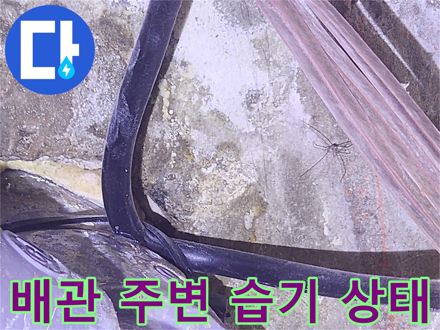 배관-주변의-습기와-콘크리트-얼룩-확인