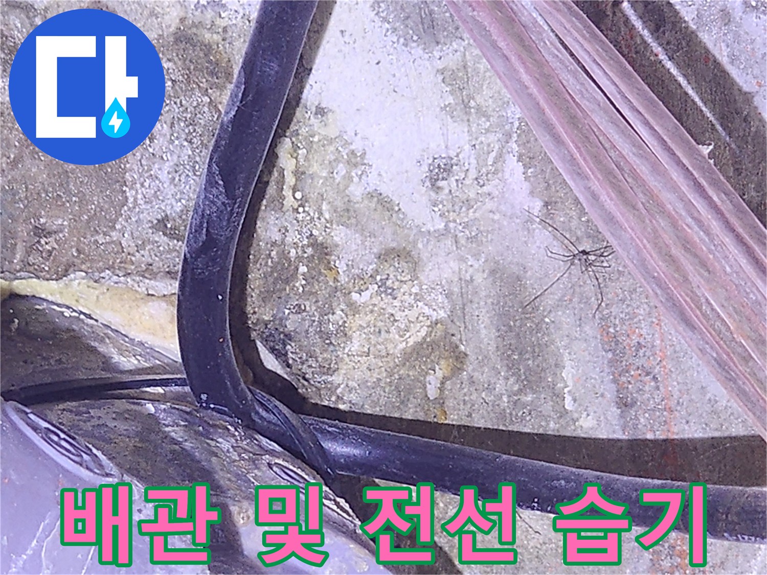 습기로-변색된 콘크리트와 배관 부위