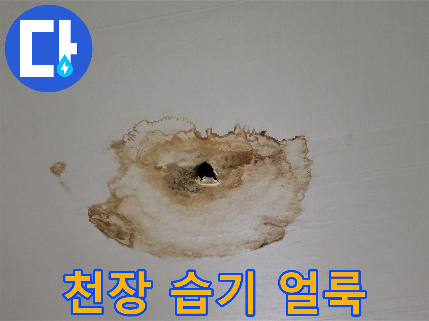 천장 벽지가 물에 젖어 변색된 모습 - 누수 지점 확인 중