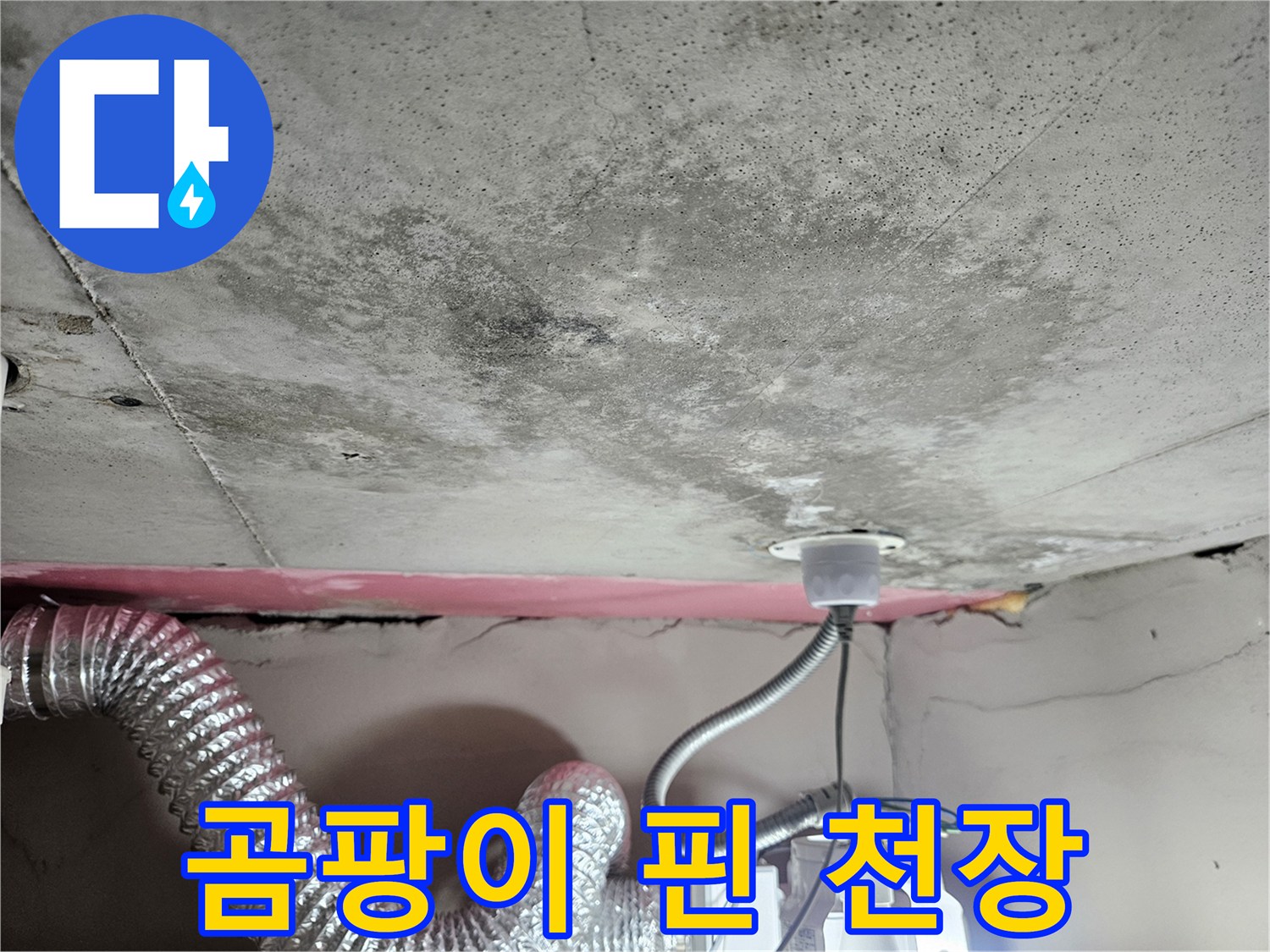 물샘 흔적이 있는 천장-곰팡이가 심한 배관 주변