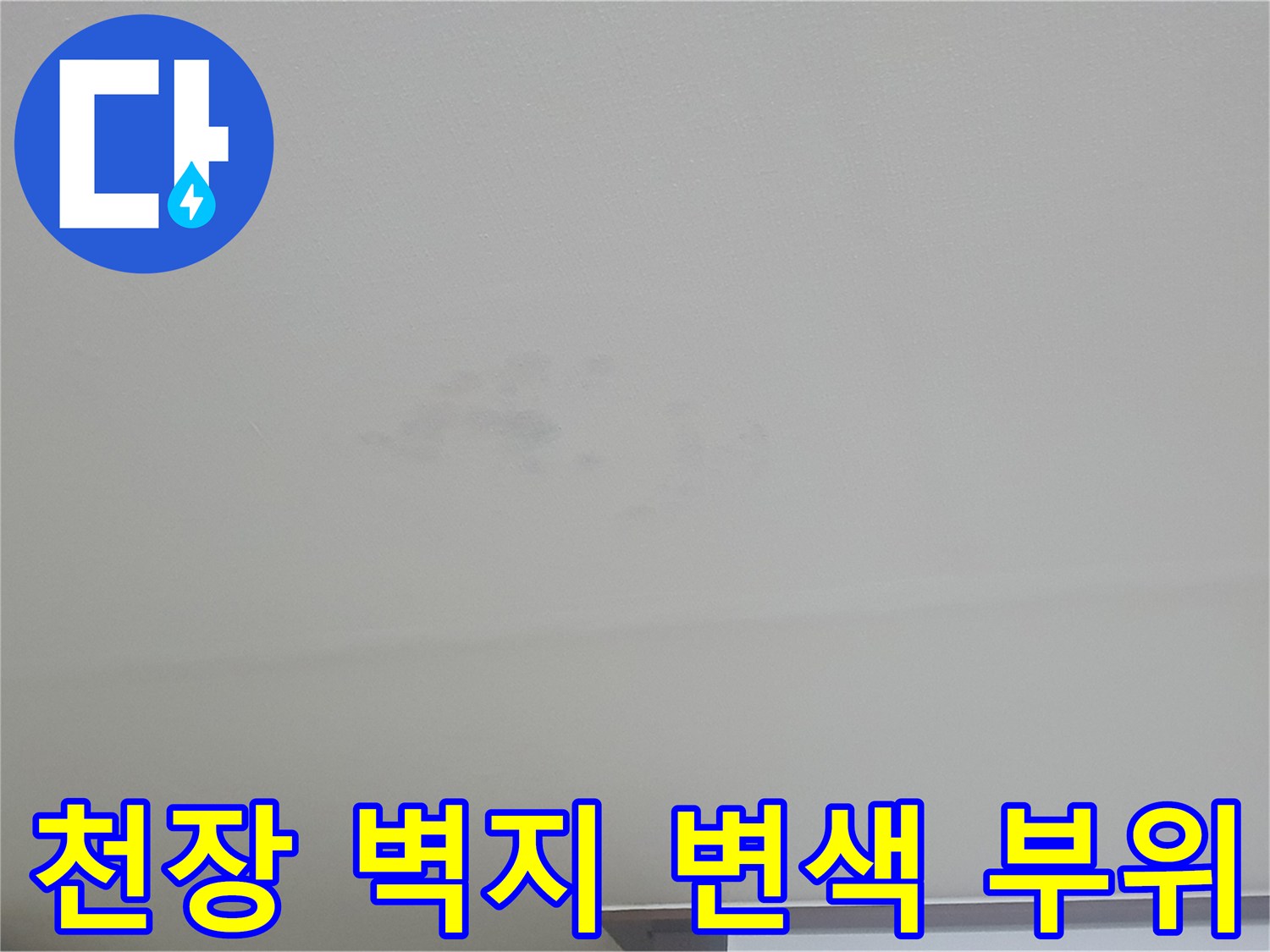천장 벽지가 젖어 얼룩덜룩하게 변한 누수 피해 현장