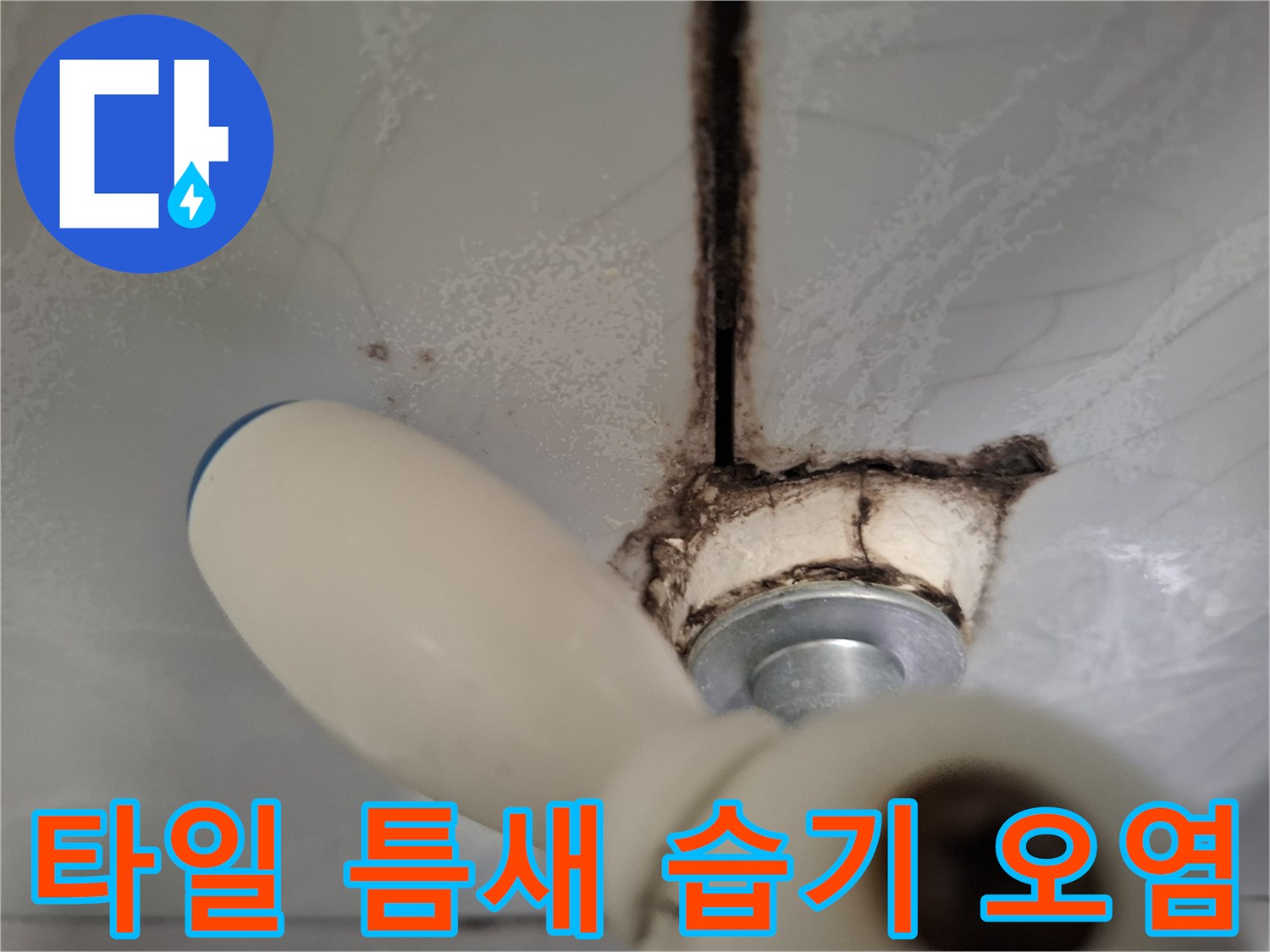 배수구-주변-타일-사이에-번진-검은색-곰팡이