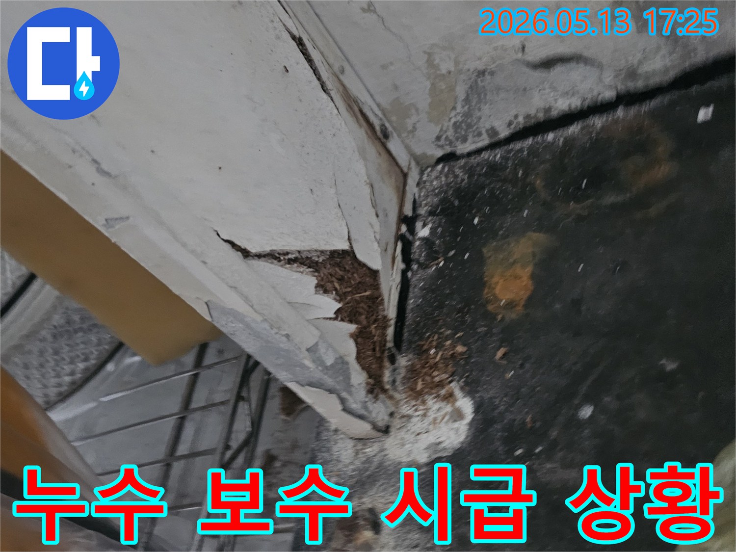 천장 누수로 인해 벽면 페인트가 벗겨지고-물자국과 곰팡이가 발생한 심각한 현장입니다-누수 보수 전문가의 시공이 시급합니다