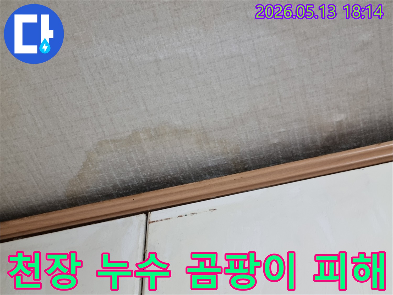 이 사진은-천장에 발생한-누수로 인한-물 자국과-곰팡이의-심각한 피해를-보여줍니다