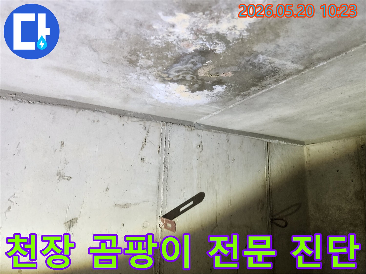 누수로 인해 천장에 발생한-심각한 곰팡이를-전문적으로 진단하고-시공하는 과정의 모습