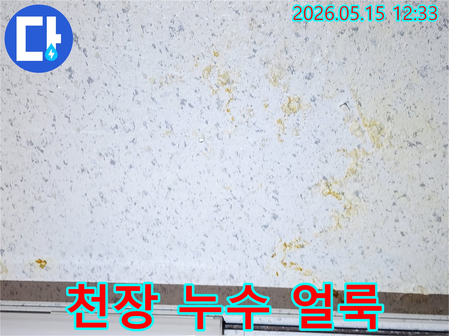 빌라-천장에-생긴-누수-얼룩과-물방울-정확한-누수-위치-확인-중