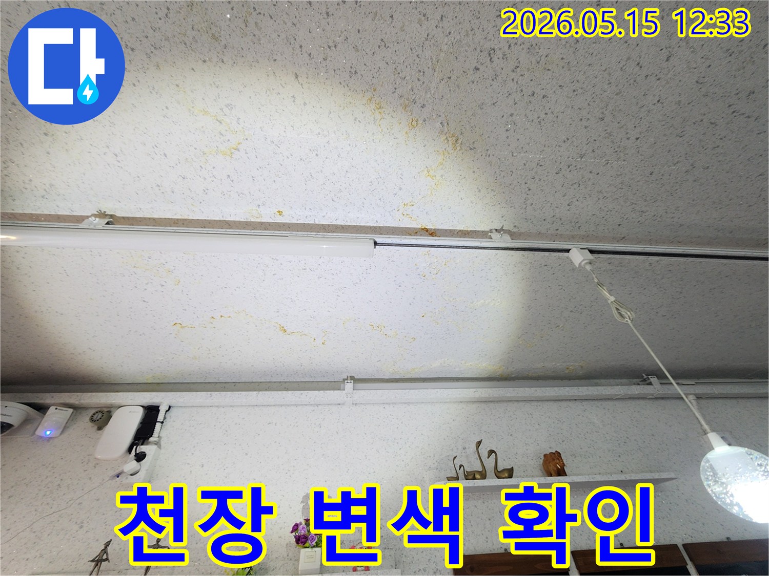 천장에서-발견된-누수-흔적과-곰팡이-오염-사진입니다.