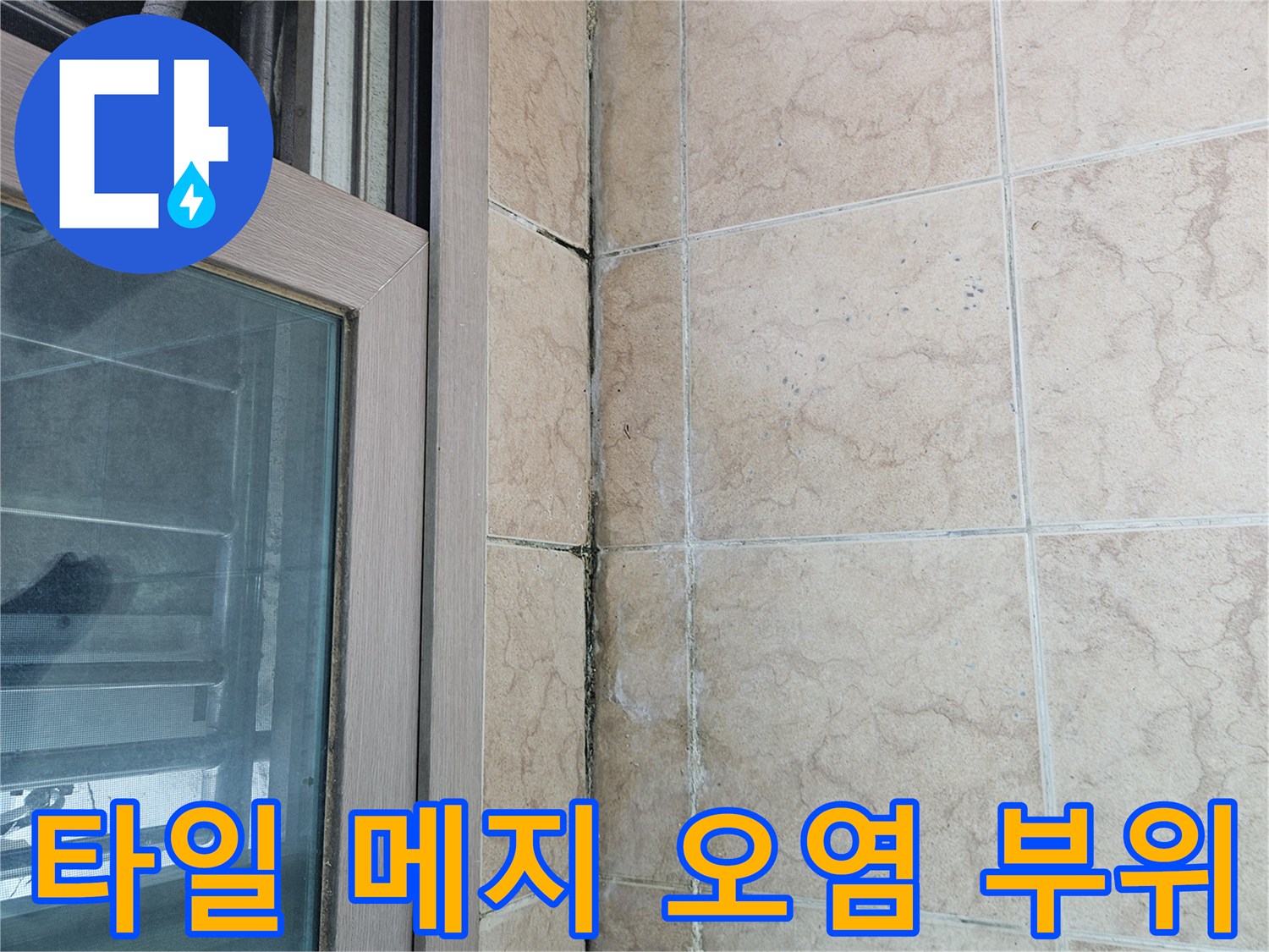 오염된 타일 줄눈과 벽면 하단부 습기 침투 흔적